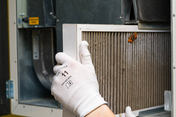 Best Air Duct Cleaning Company Near Me  in Rose, LA