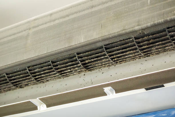 Best Ductwork Cleaning Services  in Rose, LA