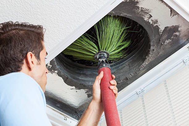 Best Air Duct Cleaning Near Me  in Rose, LA